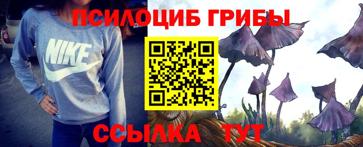Лысьва  Псилоцибиновые грибы прущие грибы  Вход с VPN 